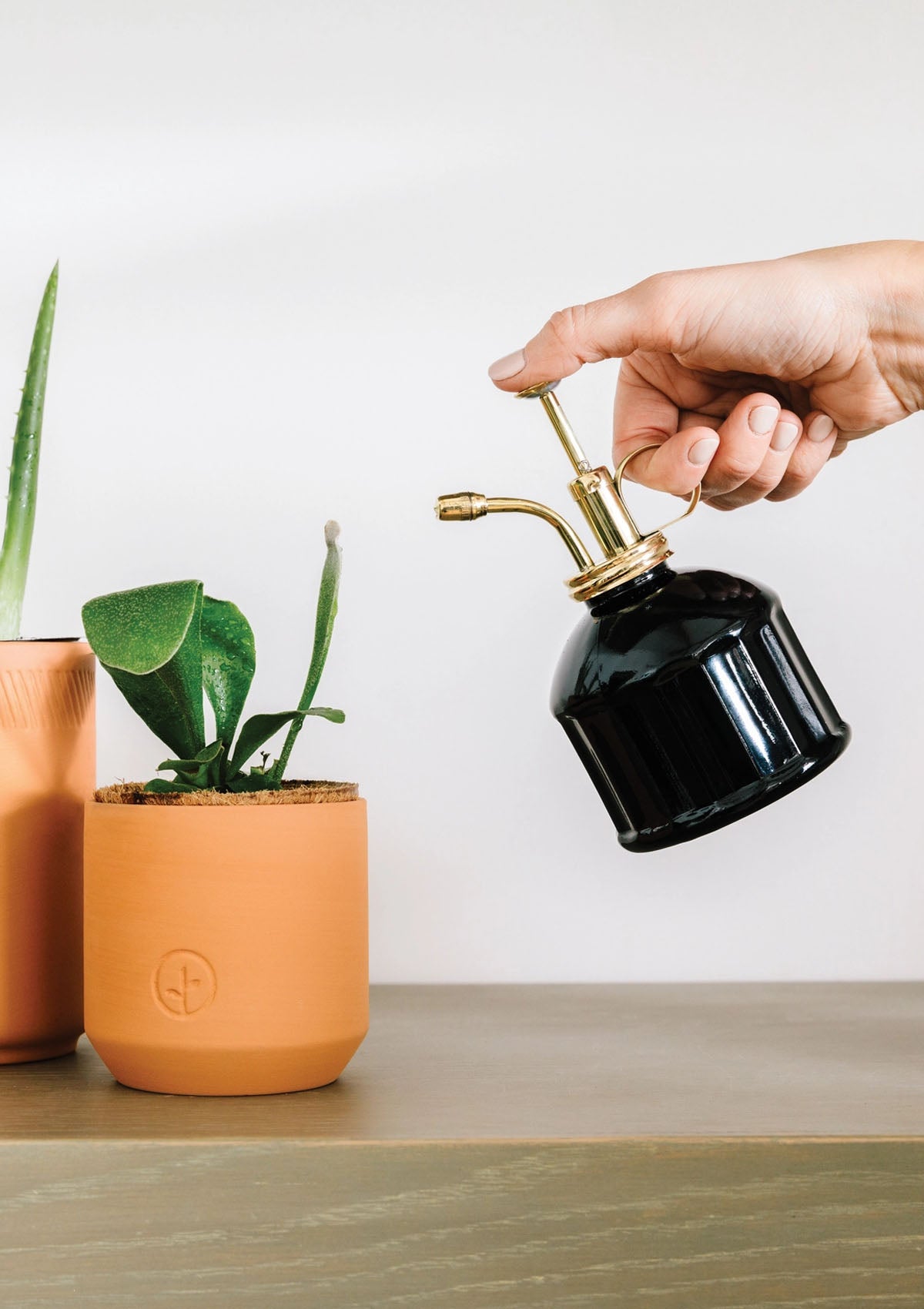 Plant Mister | Black