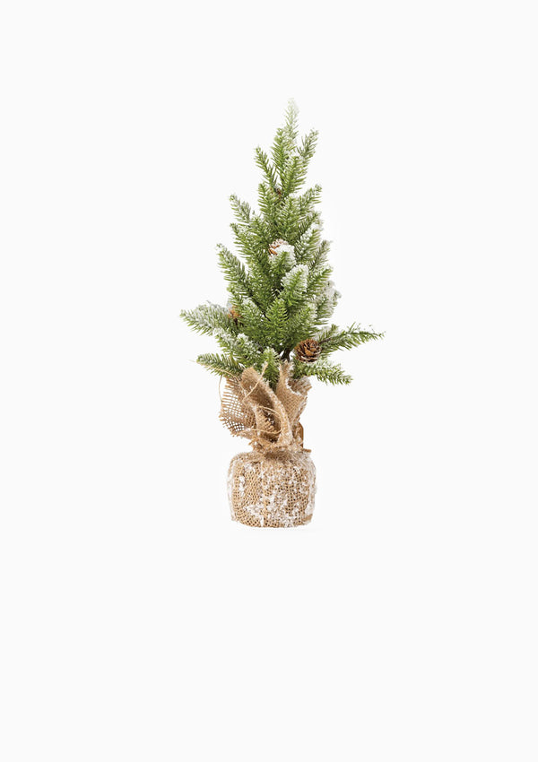 Tall Snow Tree