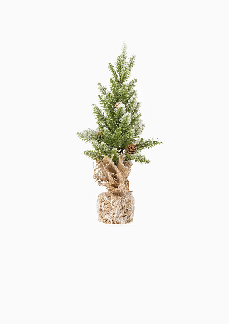 Tall Snow Tree
