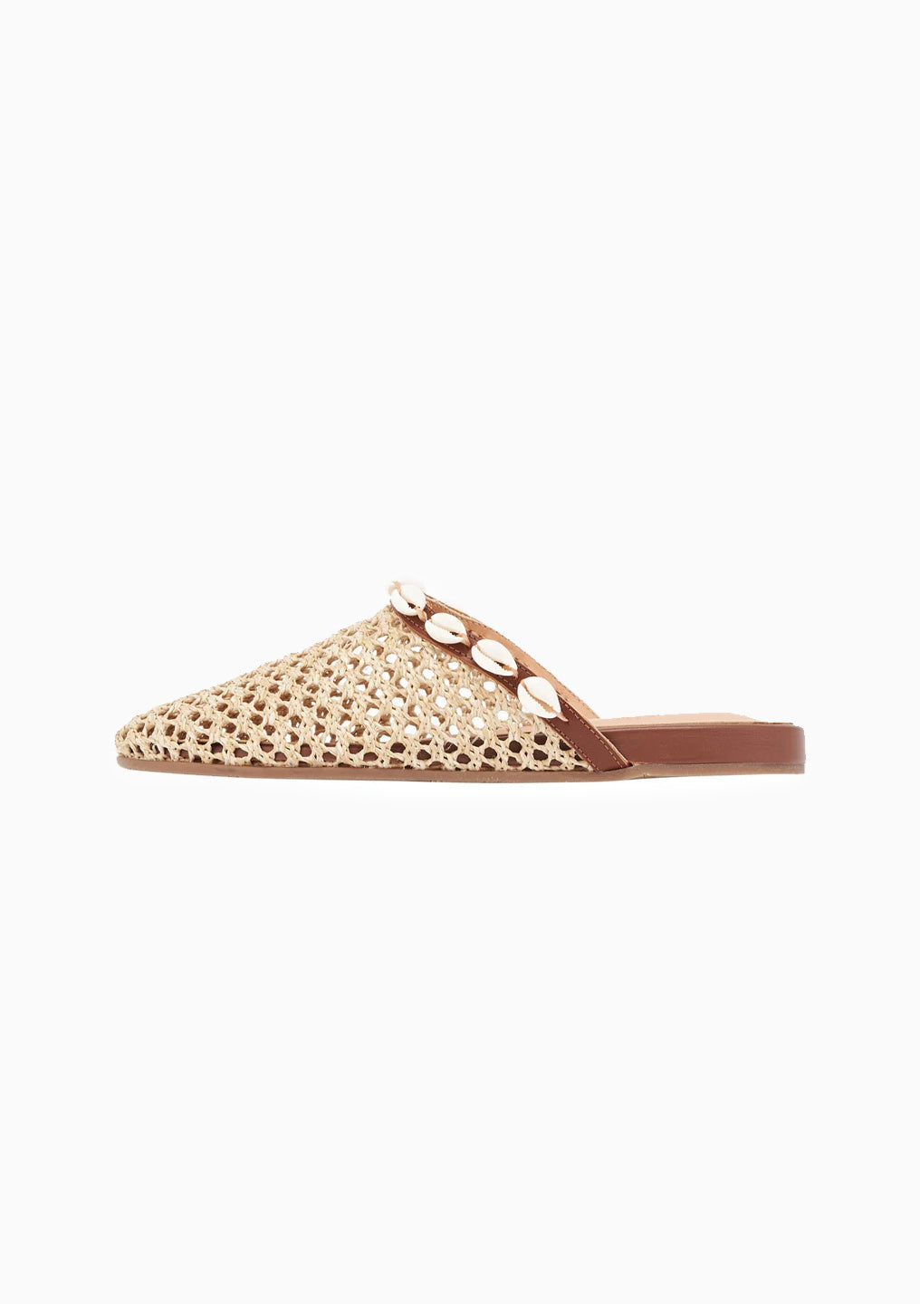 The Slipper Shells | Natural