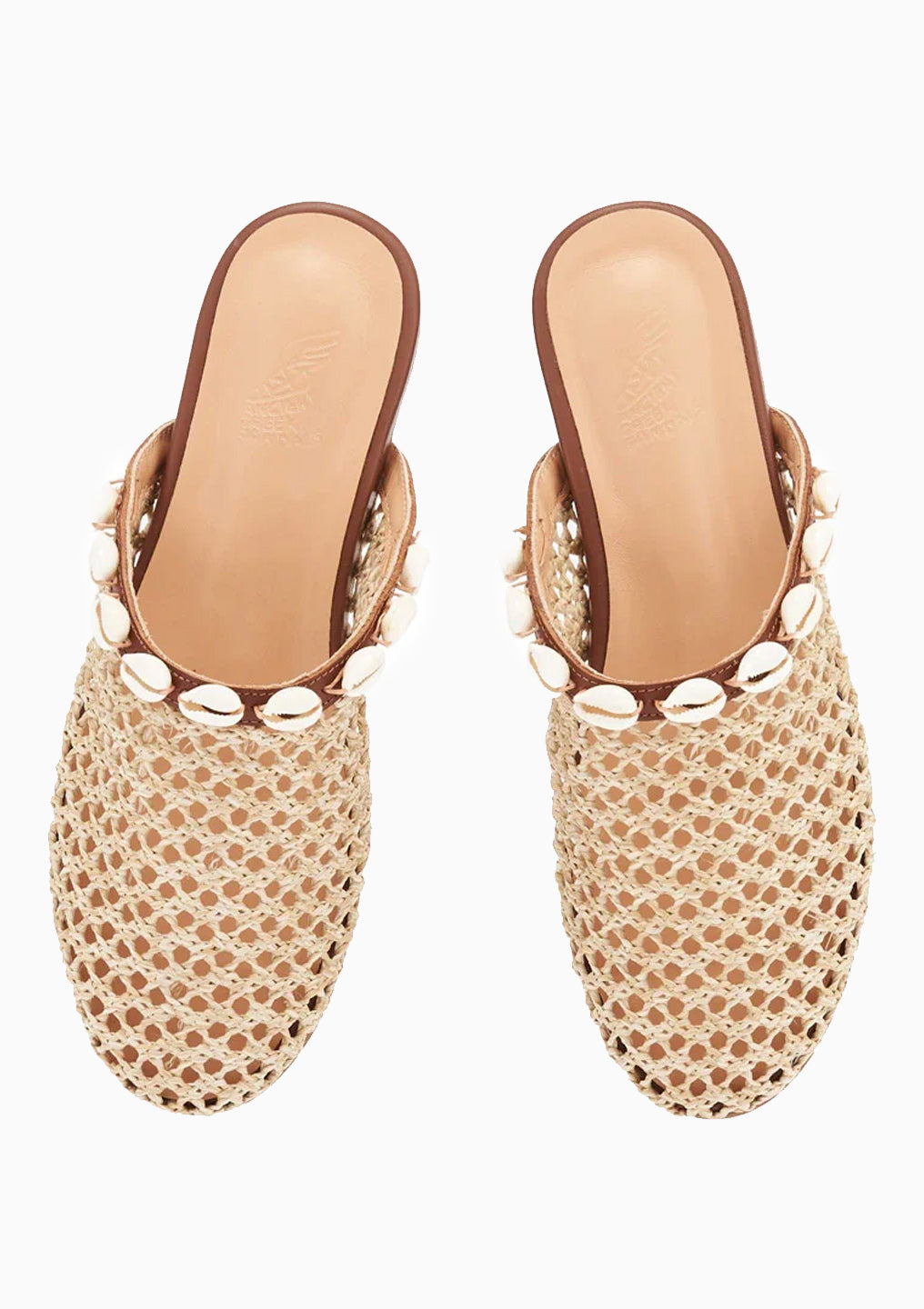 The Slipper Shells | Natural