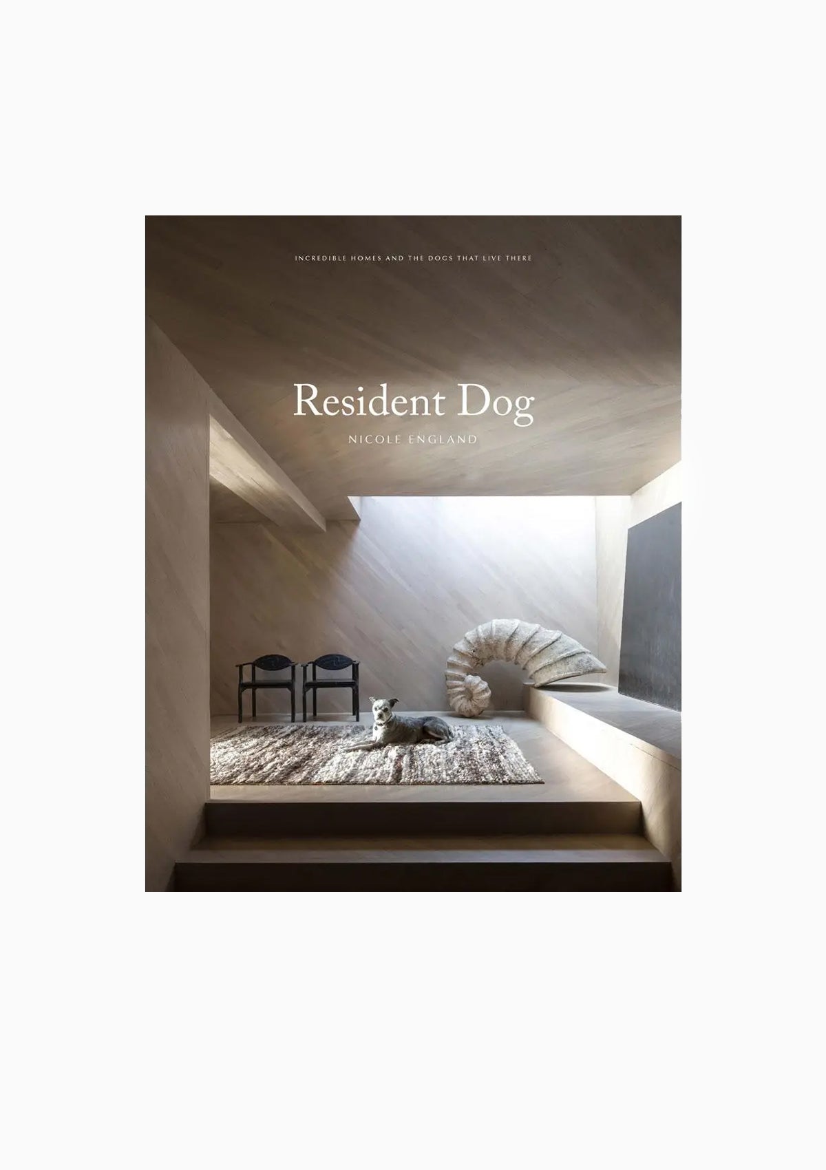 Resident Dog