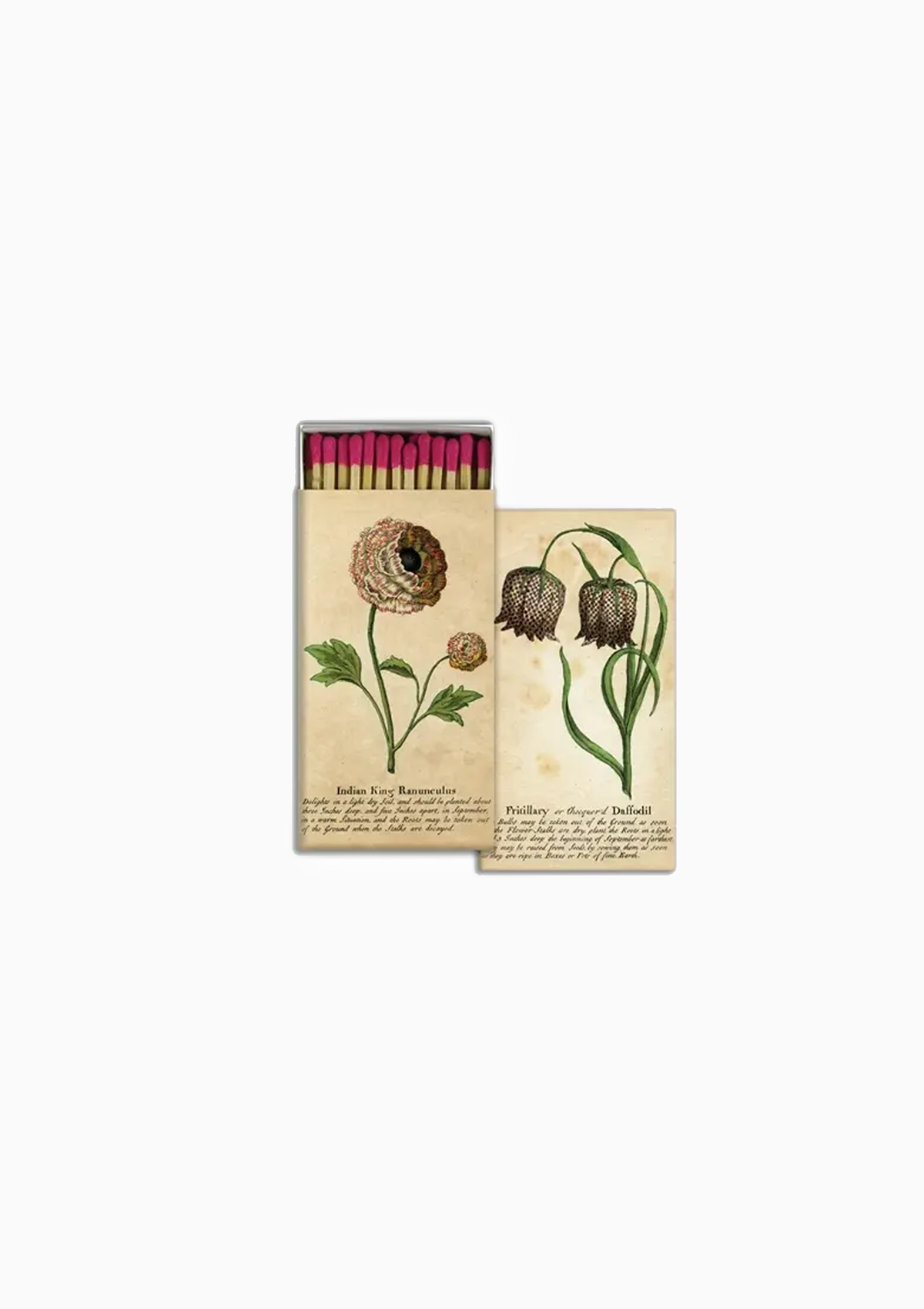 Matches | Ranunculus & Daffodill