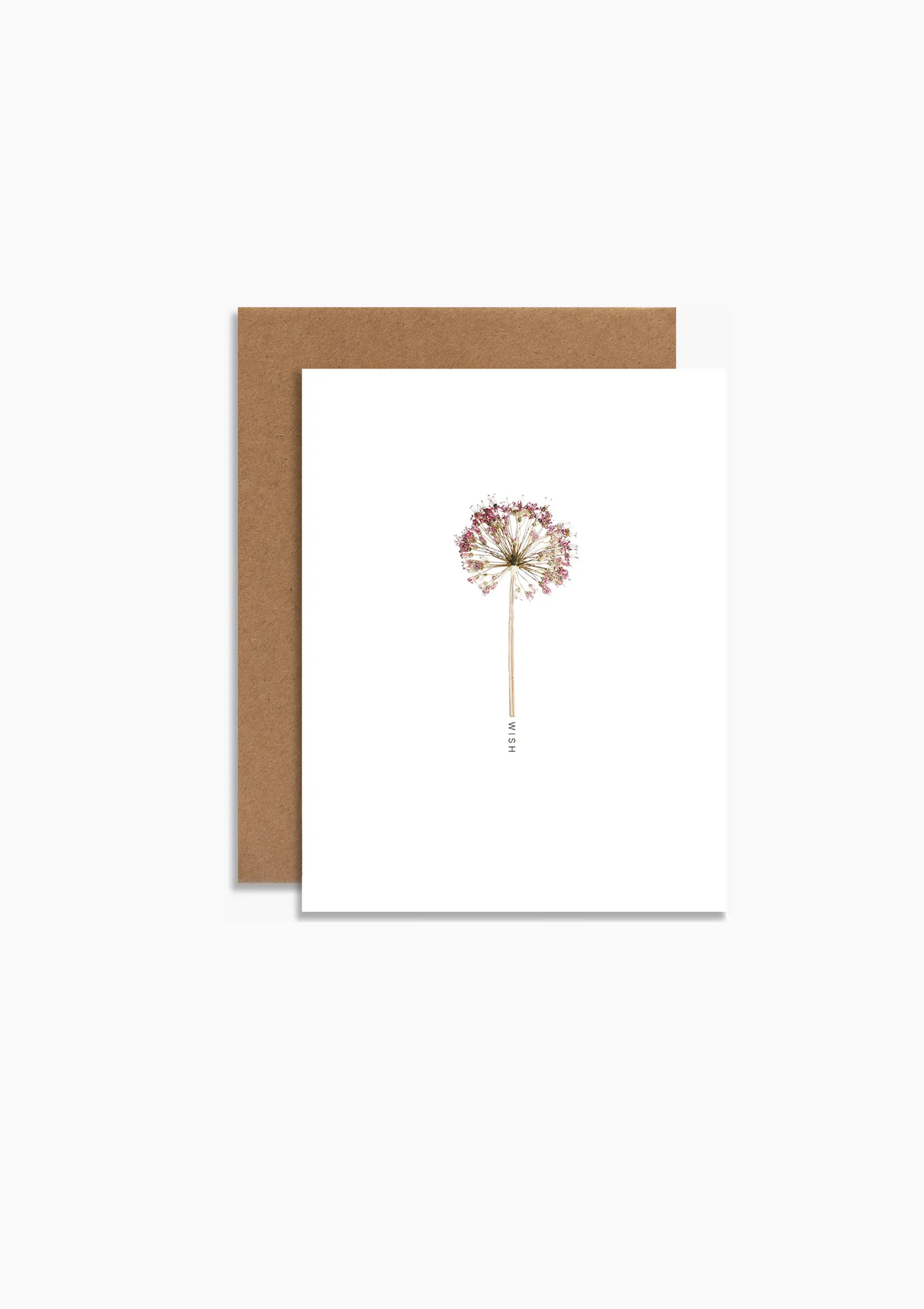 Wish Botanical Happy Birthday Pressed Dandelion Image Greeting Card
