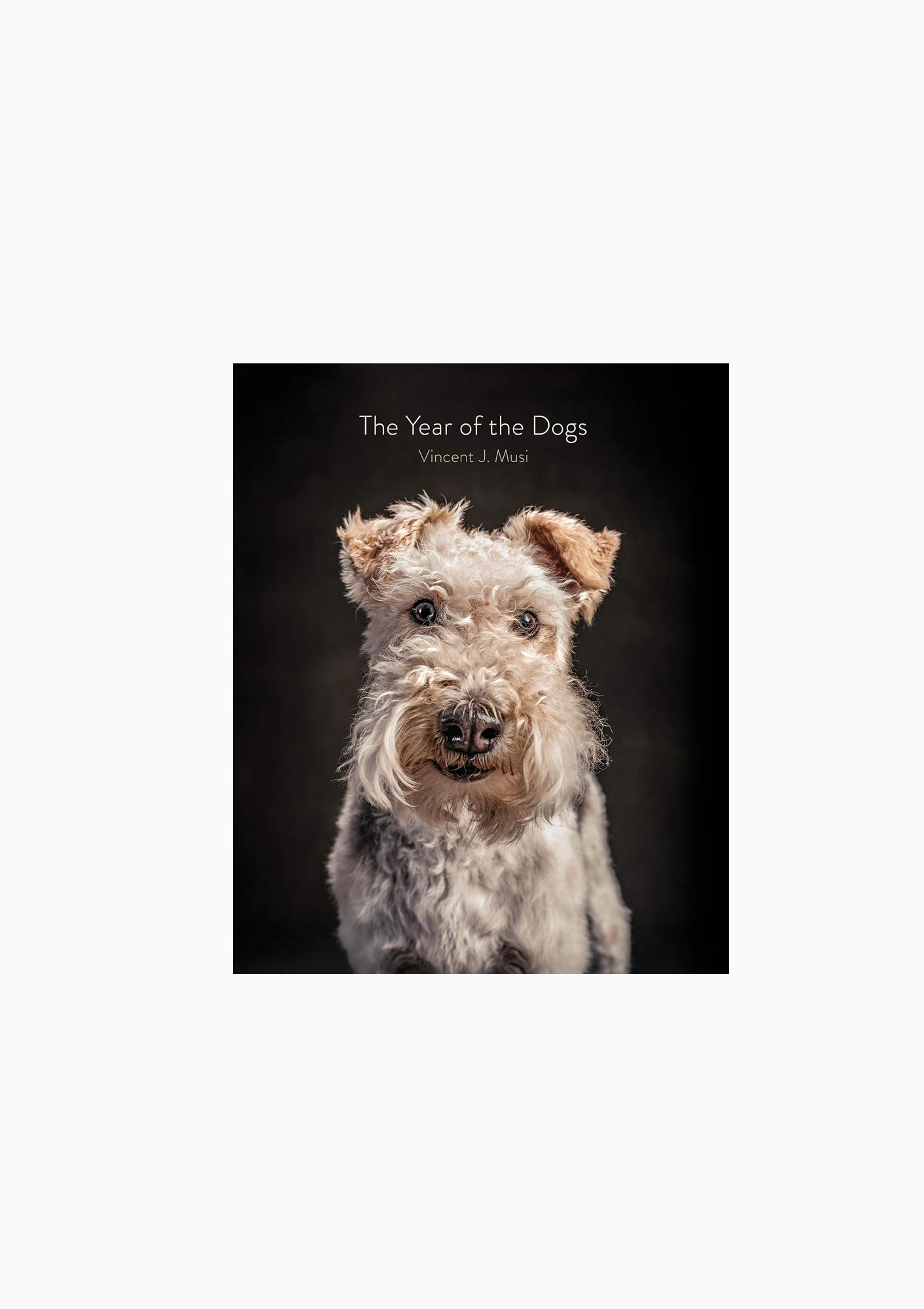 Year Of The Dogs