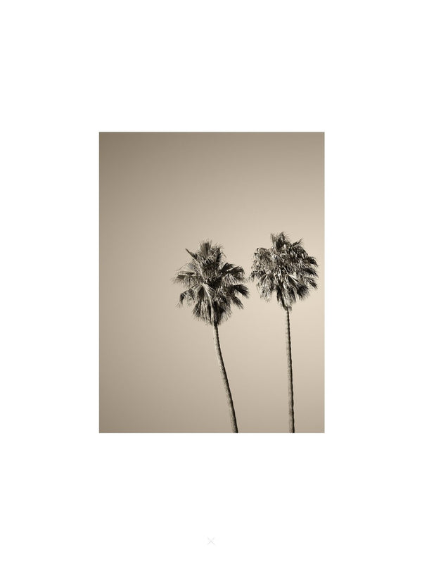 Twin Palms | 4.5" x 6"