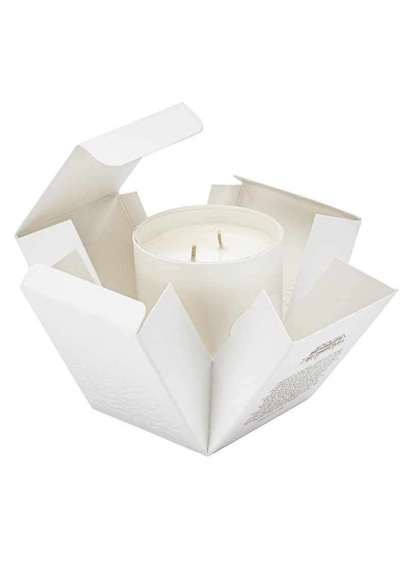 Winter Double Wick Candle