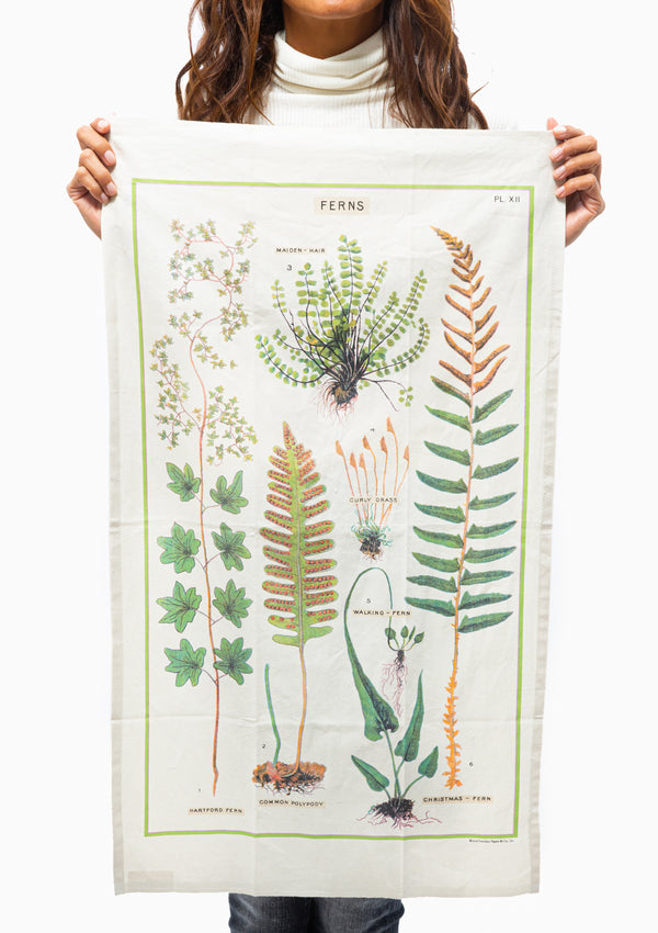 Tea Towel | Ferns