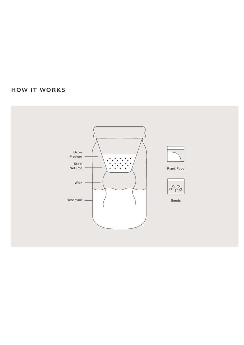 Garden Jar | Basil