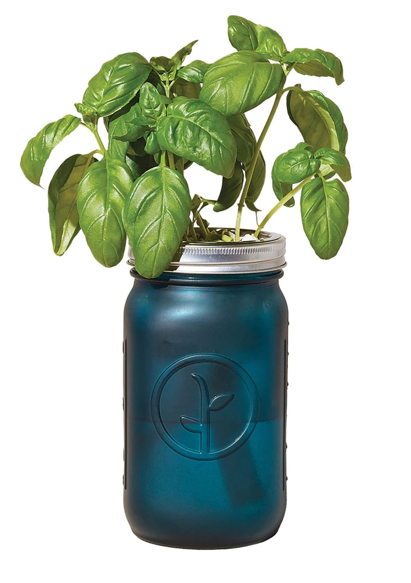 Garden Jar | Basil