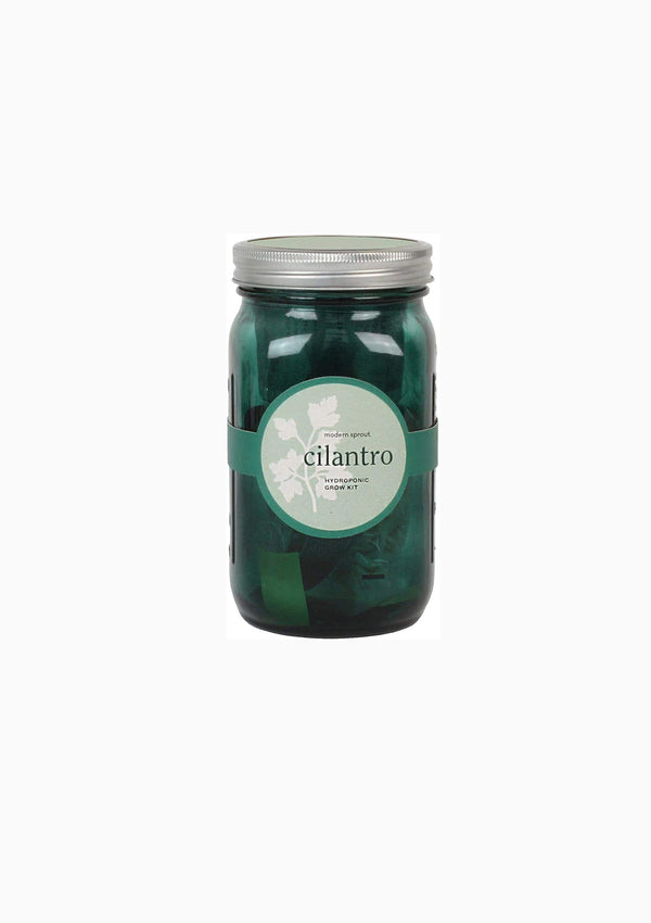 Garden Jar | Cilantro