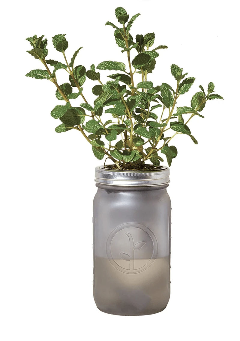 Garden Jar | Mint