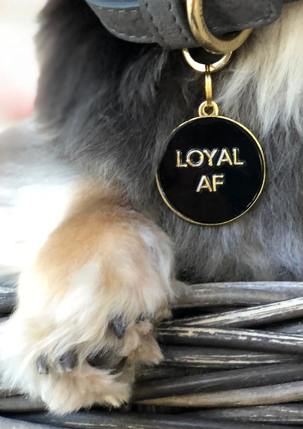 Loyal AF Dog Tag Black