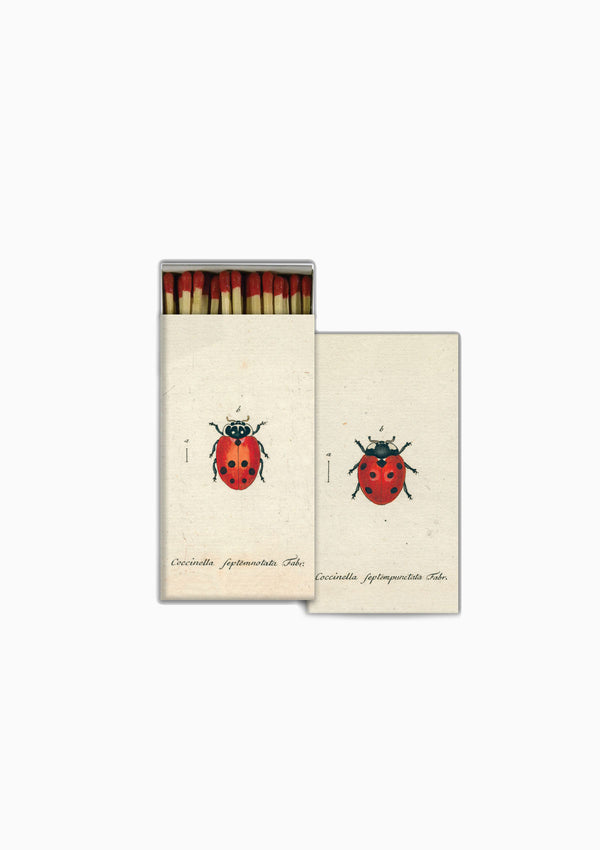 Matches | Lady Bug