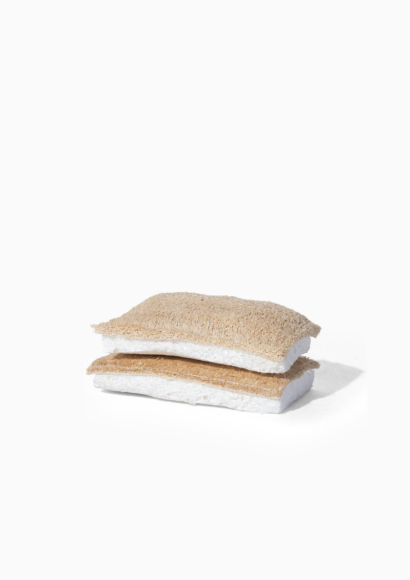 Sponge