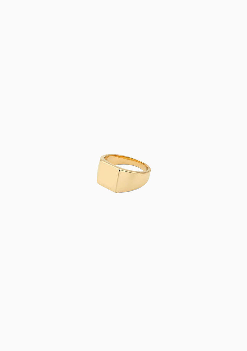 Iga Pinky Ring | Gold Plated Brass