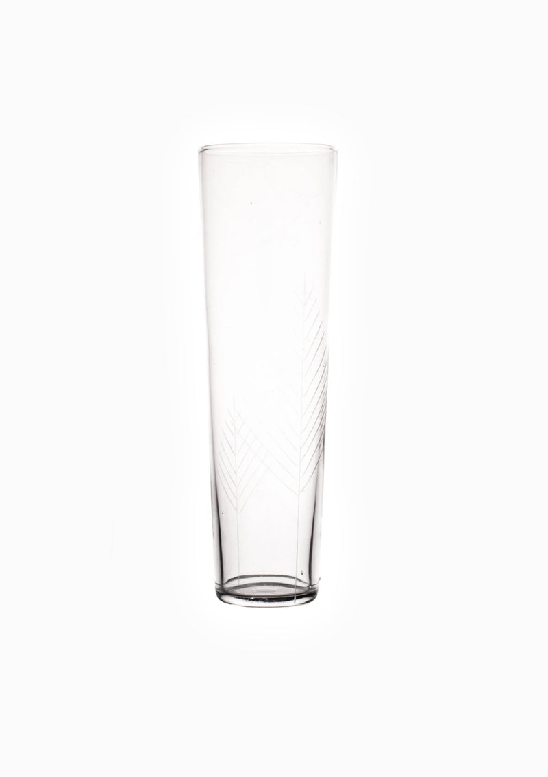 Sienna Etched Champagne Glass | Pine