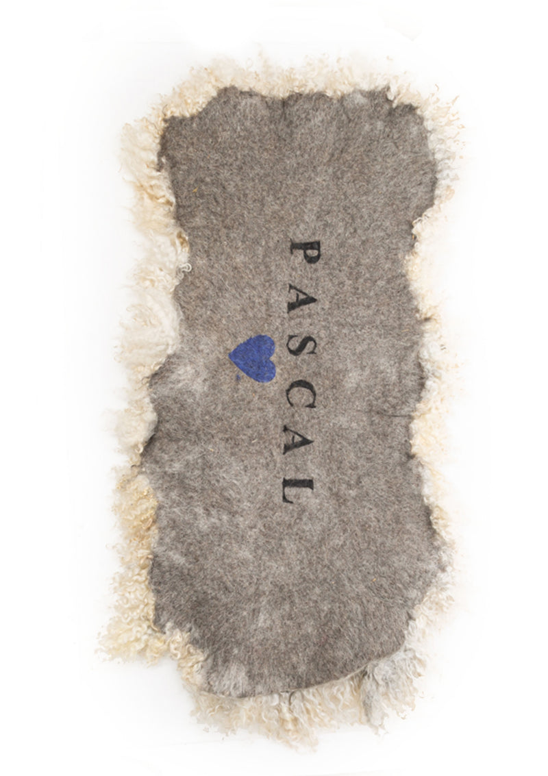 Pascal Living Rug
