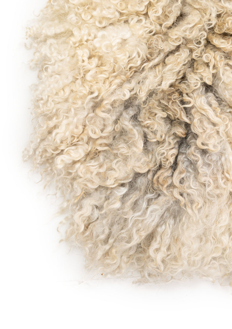 Pascal Living Rug