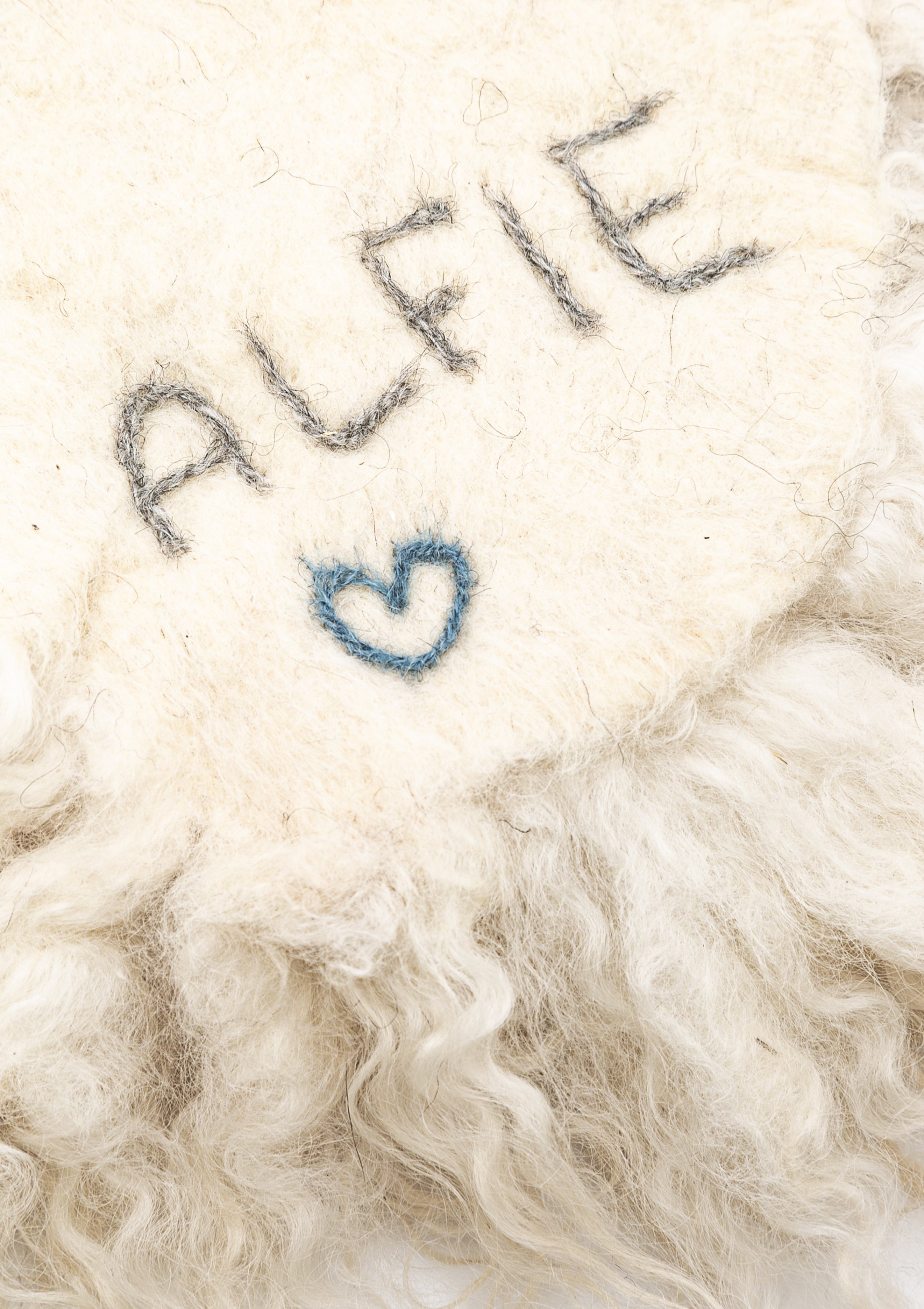 Alfie Living Rug 1