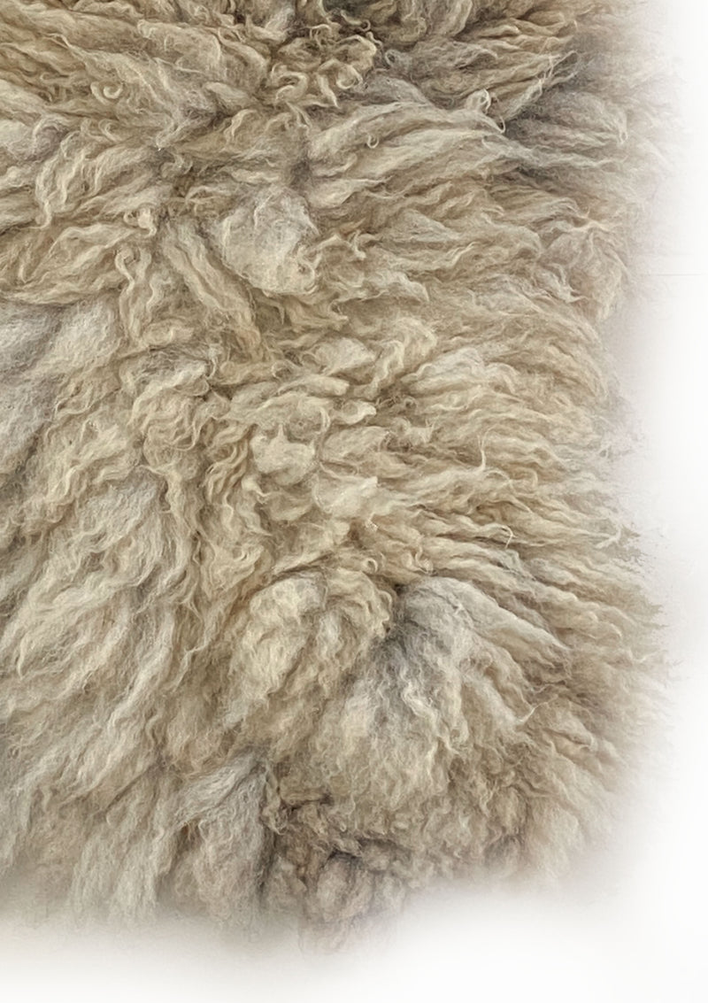 Noddy Living Rug 2