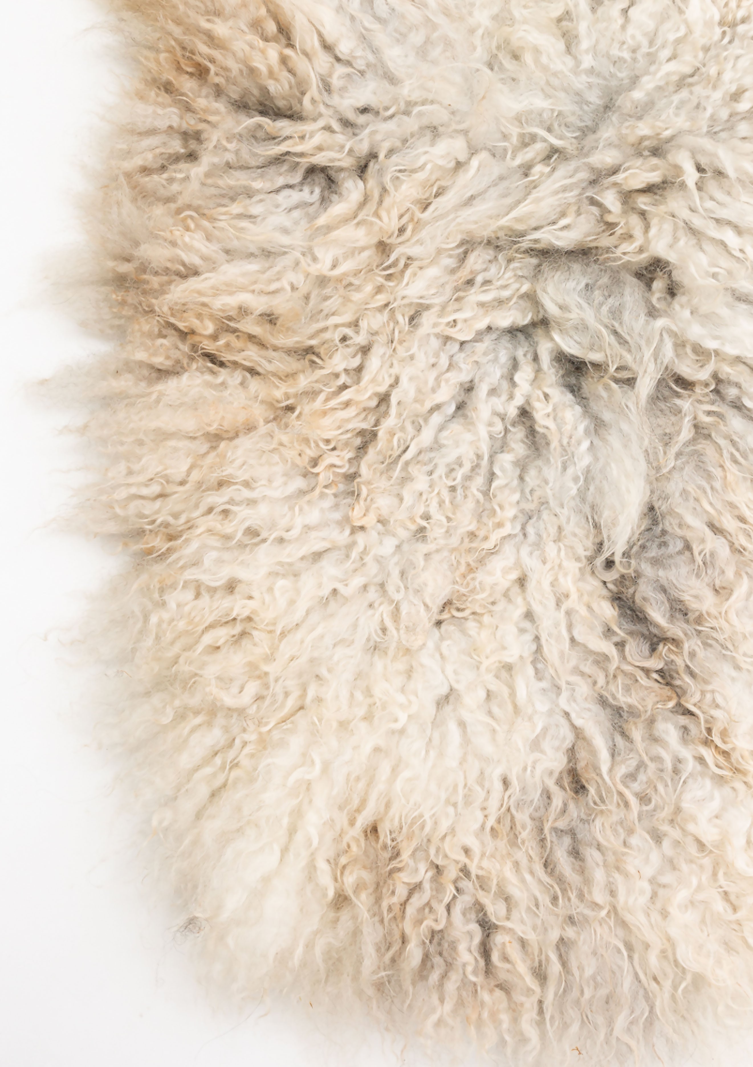 Giles Living Rug