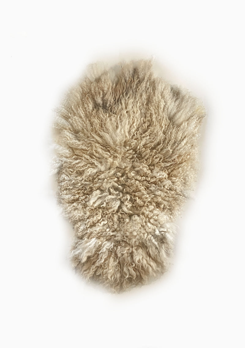 Jemima Living Rug 2