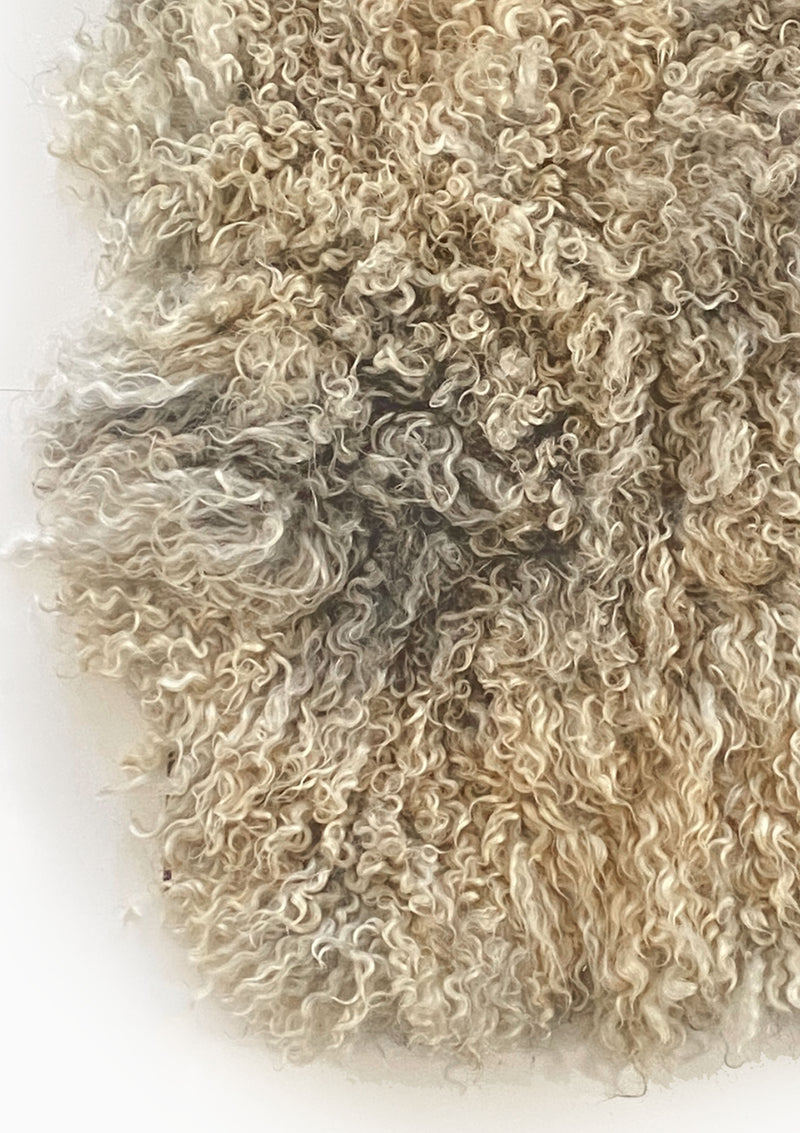 Noah Gotland Living Rug