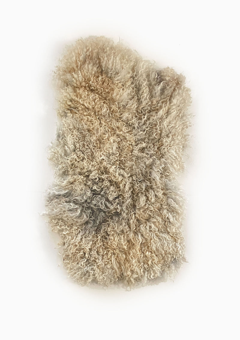 Noah Gotland Living Rug