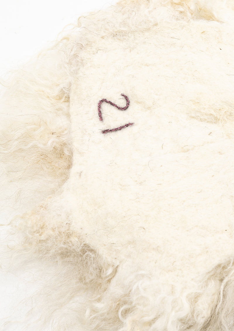 Usha Living Rug 2