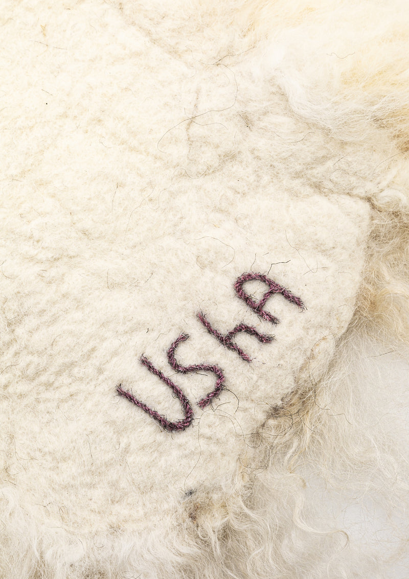 Usha Living Rug 2