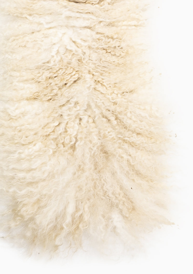 Usha Living Rug 2