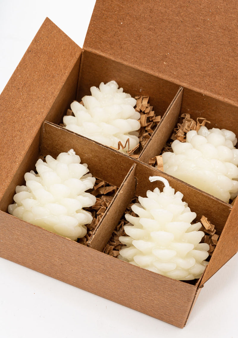 Wee Pine Cones Set | Cream
