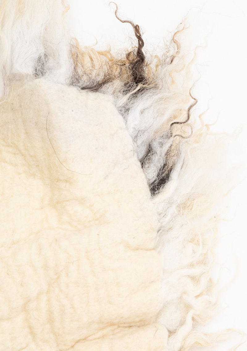 Dalesbred Felted Collection Rug 4