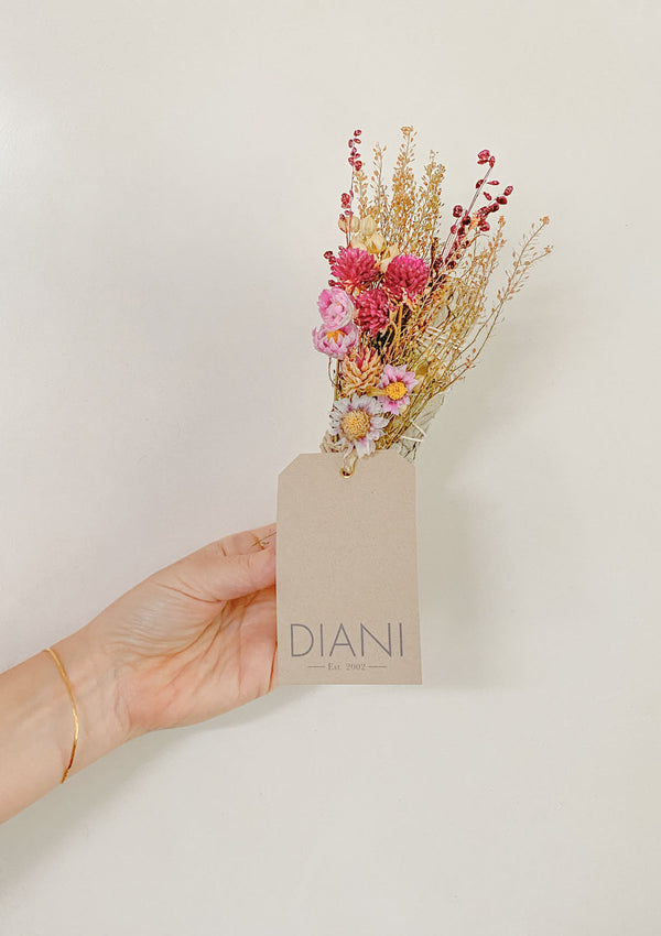 DIANI Sage Bundle | Pink