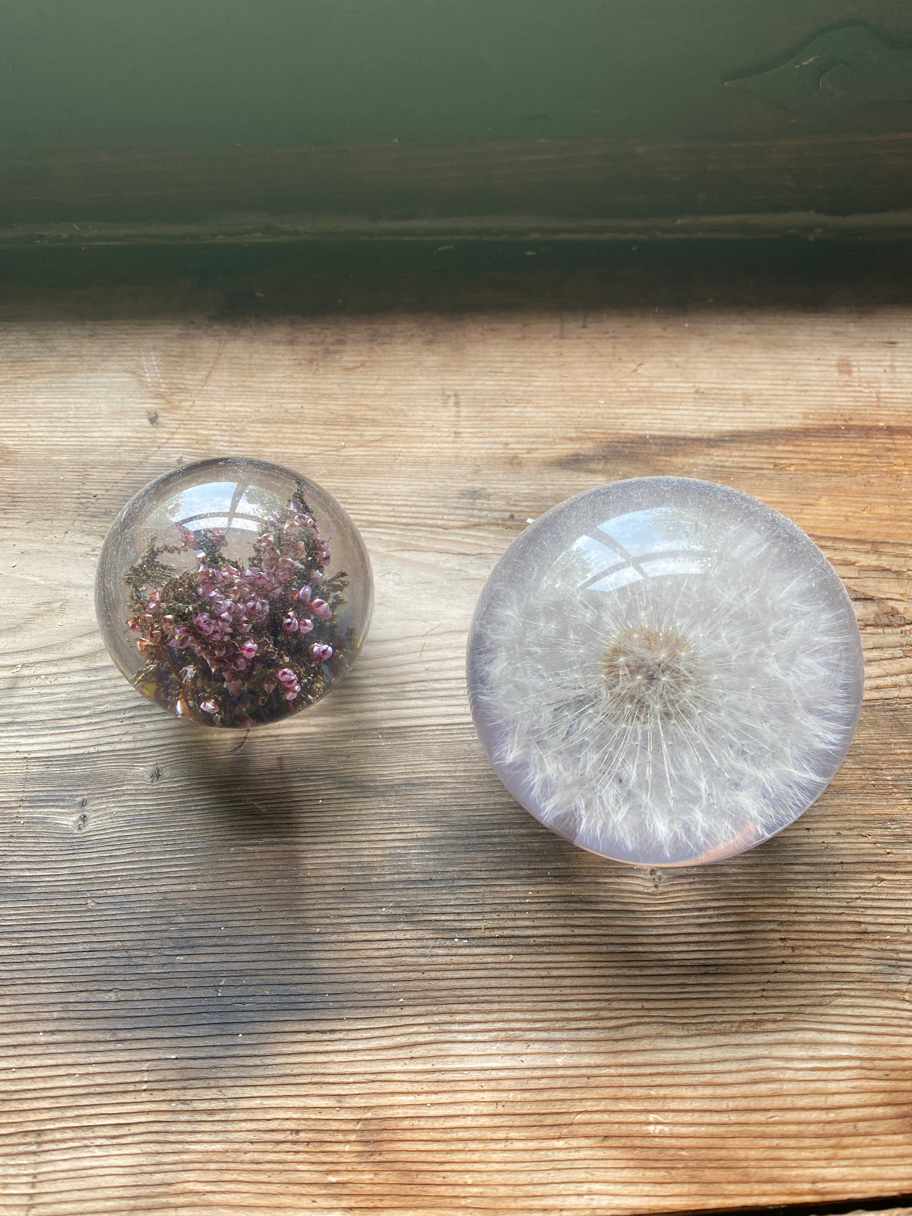 Dandelion Large Paperweight