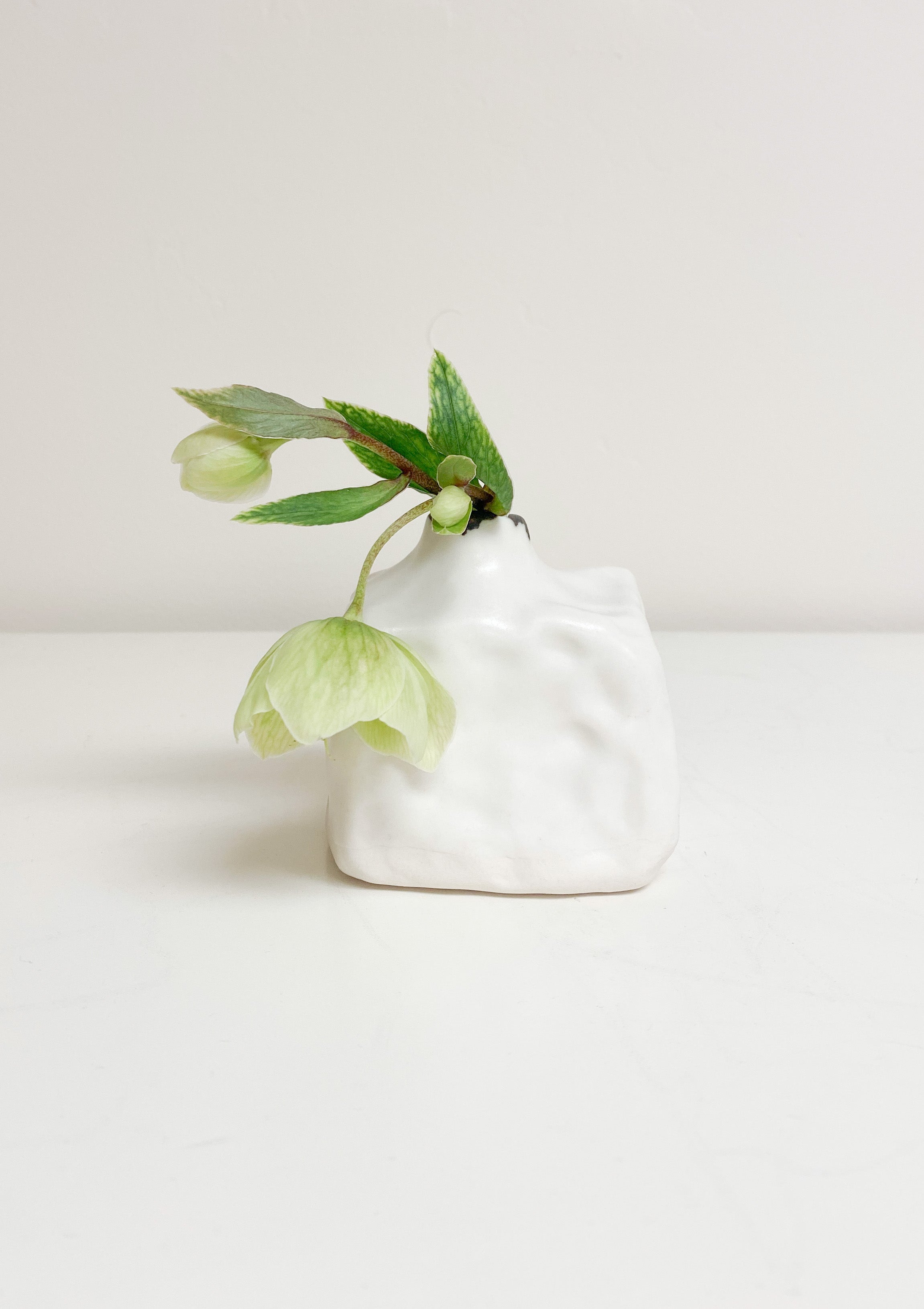 Pinch Bud Vase | Ringo