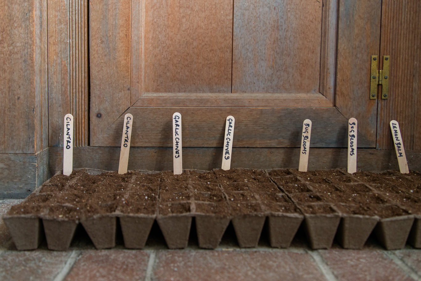 Wooden Seed Labels