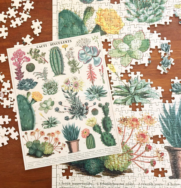 1000 Piece | Cacti & Succulents