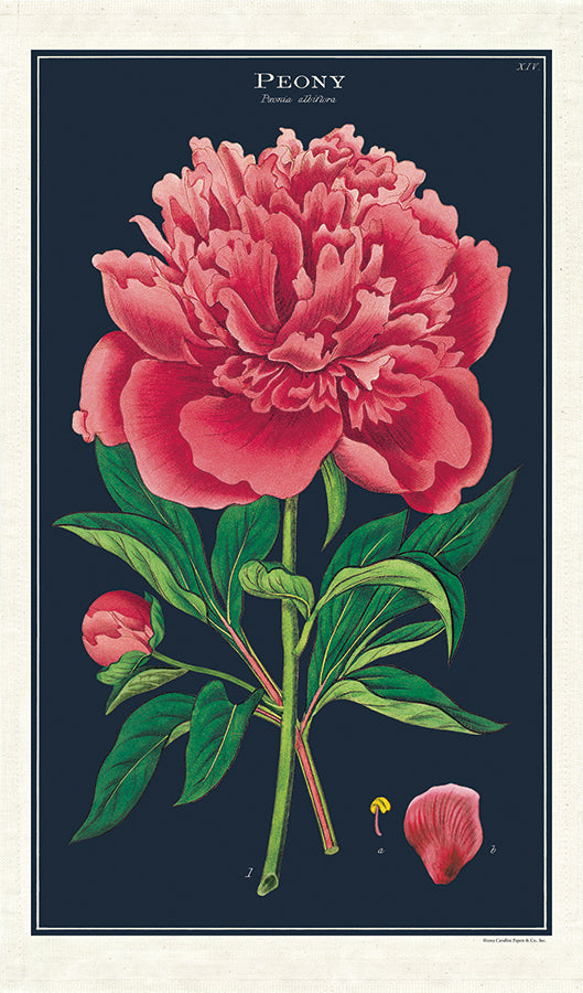 Tea Towel | Peony