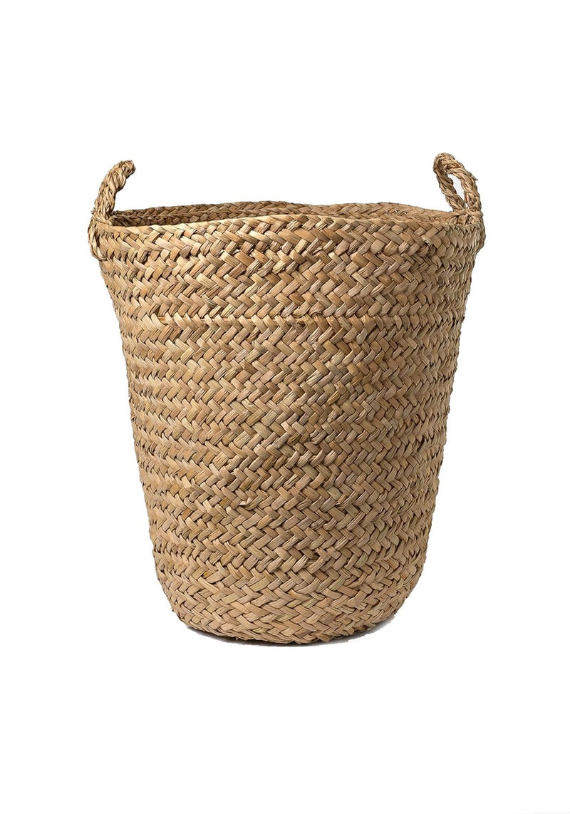 Taylor Basket WS | Giant