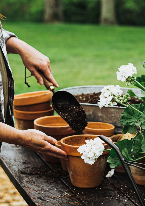 Garden Scoop