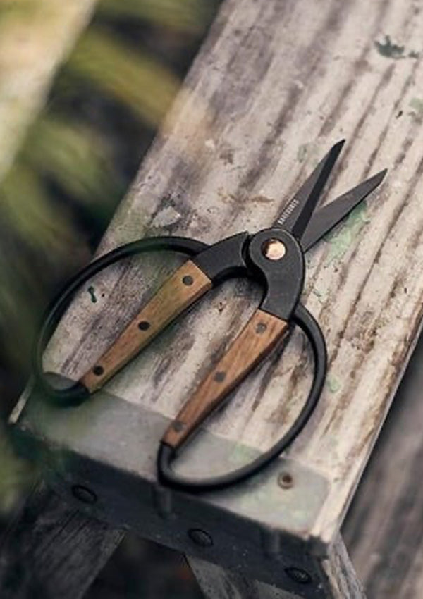 Garden Scissors | Small