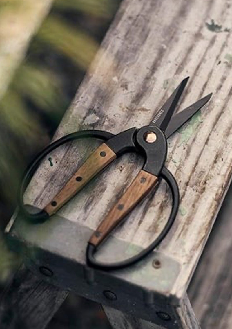 Barebones discount small scissors