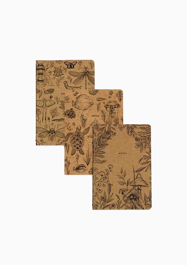 Science Kraft Notebooks, 3 Pack