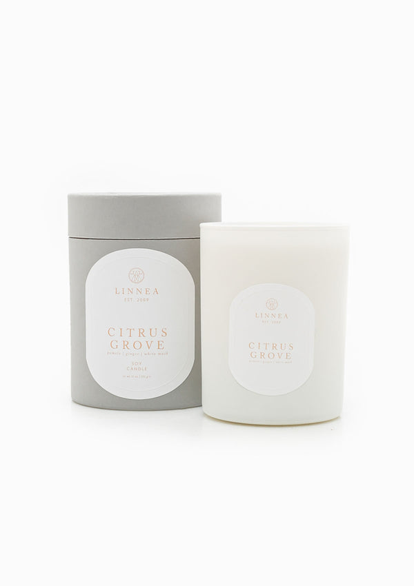 Citrus Grove Double Wick Candle